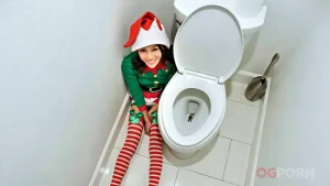 Elf On A Shelf
