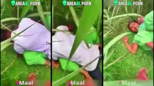 Watch Bihari Mallu Aunty Fuck In Outdoor MMS Video