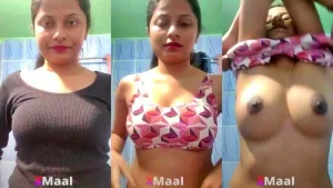 Watch Desi GF Bathroom Showing Pussy Boobs MMS Video